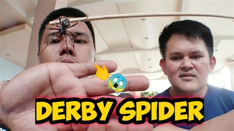 kadagit|3 best Spider fight 2021 super classic fight ️ .